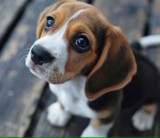 Picture for category Multivitamins